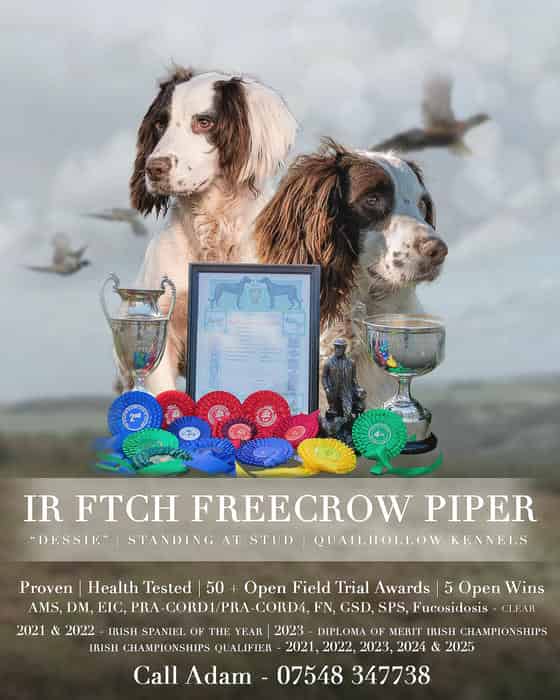 IR FTCH Freecrow Piper