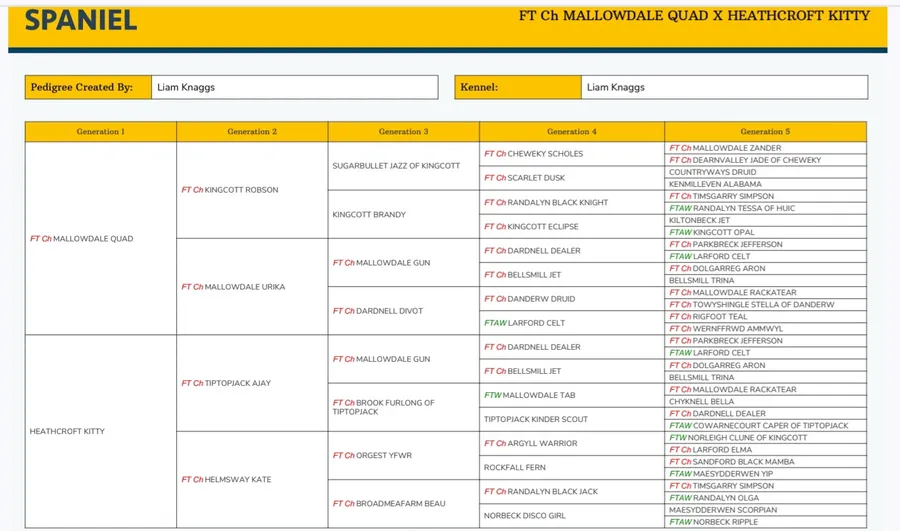 FTCH MALLOWDALE QUAD x HEATHCROFT KITTY puppies