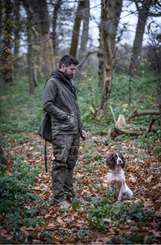 FTAW English Springer Spaniel