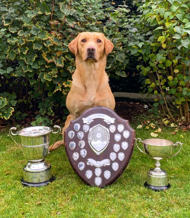 OFTW Ythanvale Tswana of Strathieburn