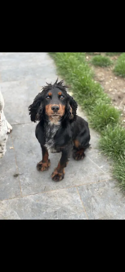 KC health tested wcs due mid November