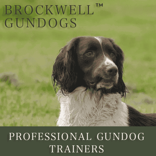 Brockwell Gundogs