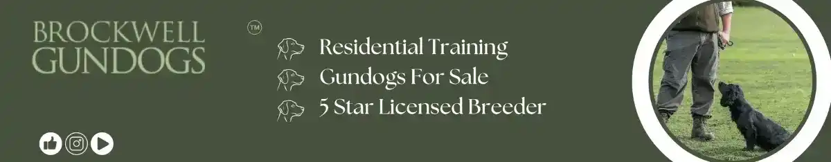 Brockwell Gun Dogs