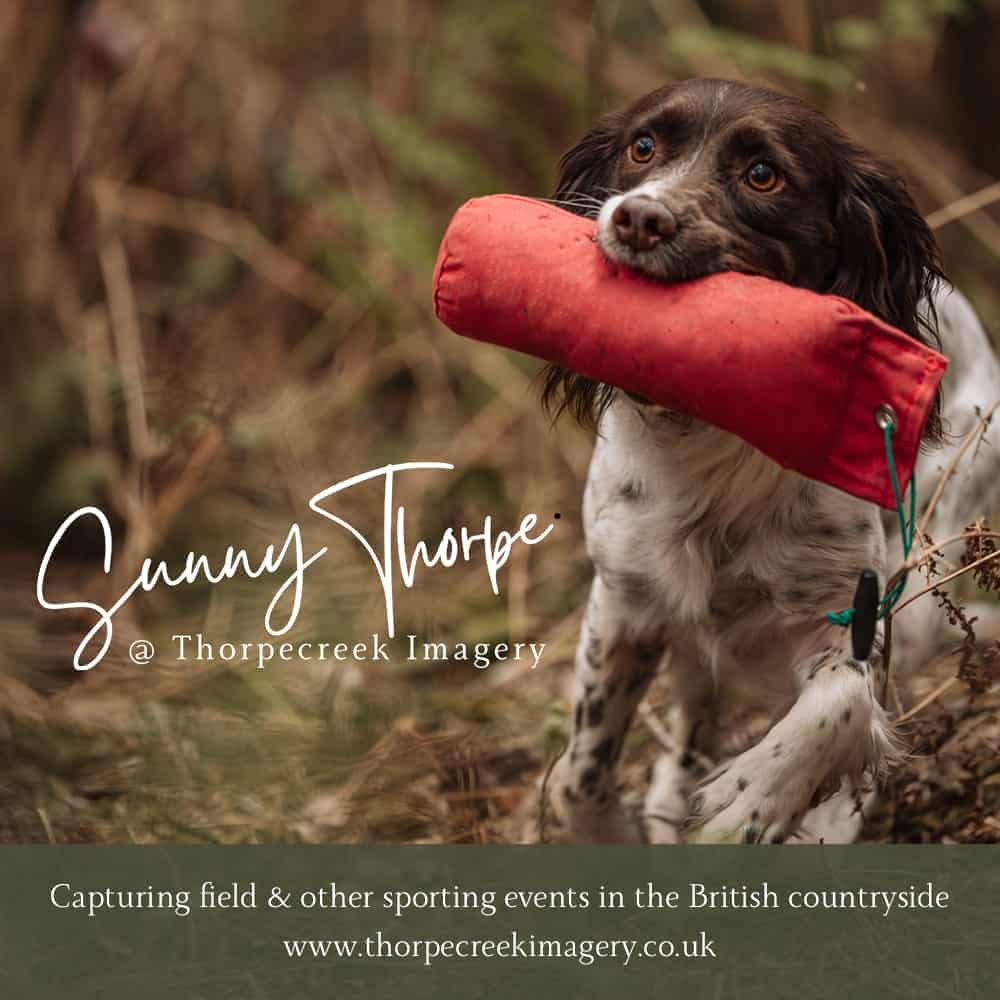 ThorpeCreekImagery