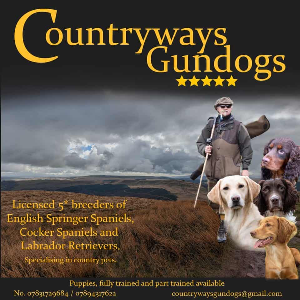 Countryways GunDogs