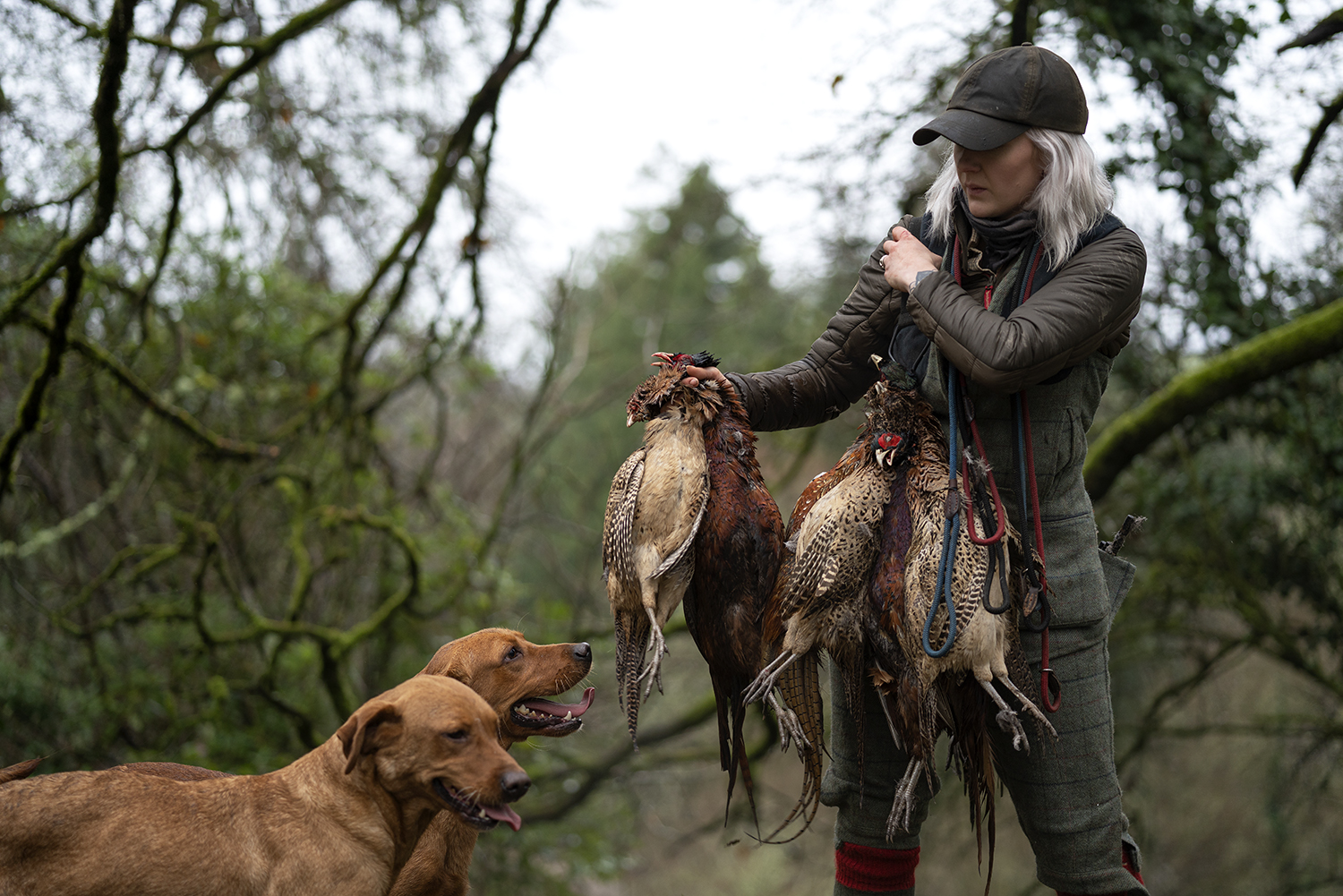 Some Tips To Advertise Your Working Dogs